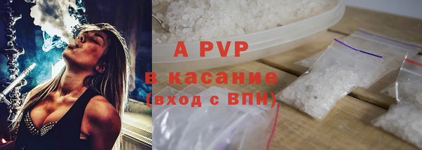 шишки Козельск
