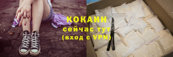 шишки Козельск