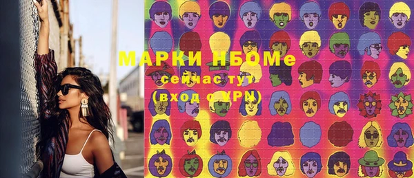 шишки Козельск