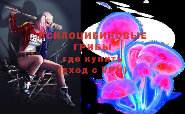 шишки Козельск