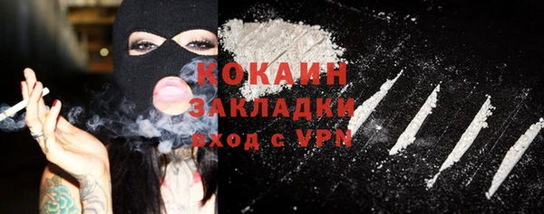 шишки Козельск