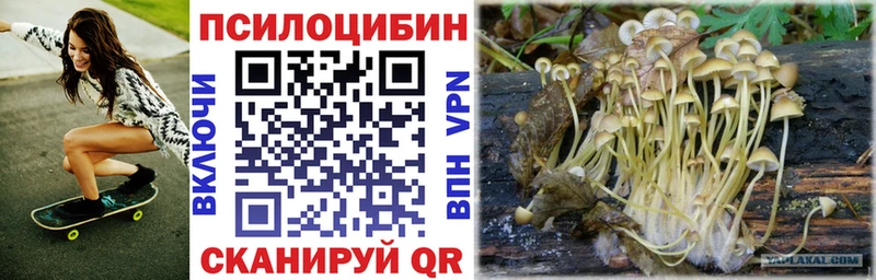 Галлюциногенные грибы ЛСД  Купить  Буй 